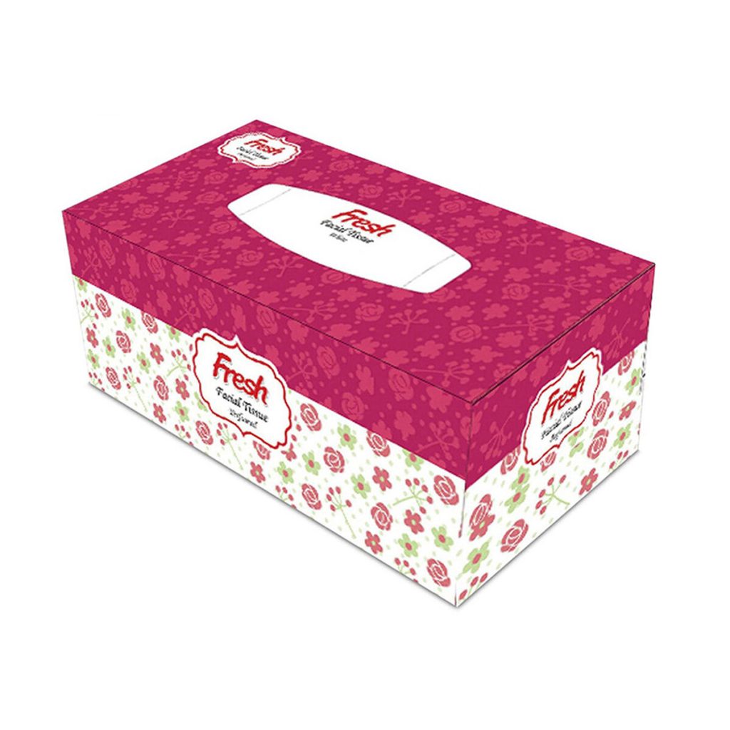 Fresh Facial Tissue Perfumed (100 Pcs x 2 Ply)